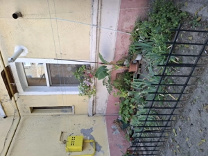 Apartament 1 camera econom - imagine 2