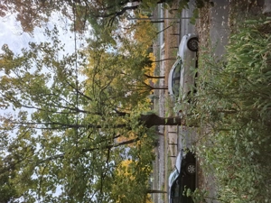 Apartament 1 camera econom - imagine 3