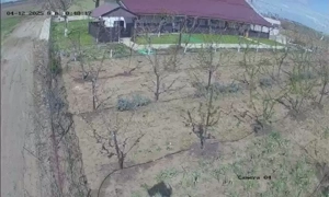 Inchiriere spatiu de evenimente - imagine 7