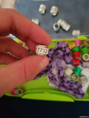 vând inele porumbei campioni