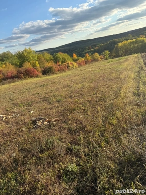 vand teren intravalian - imagine 7