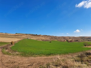 Teren agricol de vânzare - 27,6 ha in satul Visuia (Bistrița-Nasaud) - imagine 3