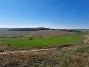 Teren agricol de vânzare - 27,6 ha in satul Visuia (Bistrița-Nasaud) - imagine 2