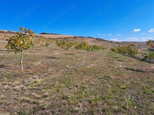 Teren agricol de vânzare - 27,6 ha in satul Visuia (Bistrița-Nasaud) - imagine 7