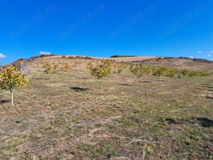 Teren agricol de vânzare - 27,6 ha in satul Visuia (Bistrița-Nasaud) - imagine 6