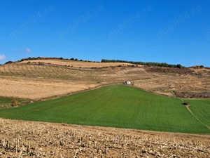 Teren agricol de vânzare - 27,6 ha in satul Visuia (Bistrița-Nasaud) - imagine 5