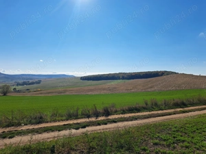 Teren agricol de vânzare - 27,6 ha in satul Visuia (Bistrița-Nasaud) - imagine 8