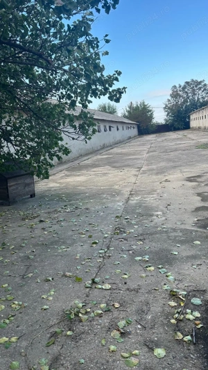 Teren intravilan municipiul Calarasi - imagine 7