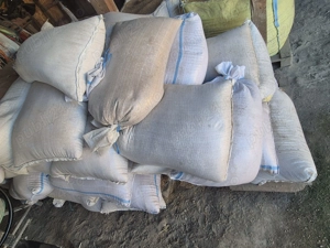 Vând grâu producție 2025