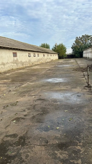 Teren intravilan municipiul Calarasi - imagine 4