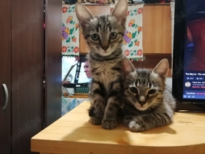 Aventura incepe cu un camin...! - imagine 3