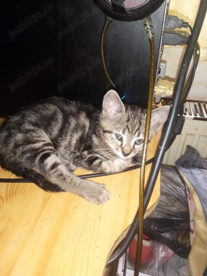 Aventura incepe cu un camin...! - imagine 5