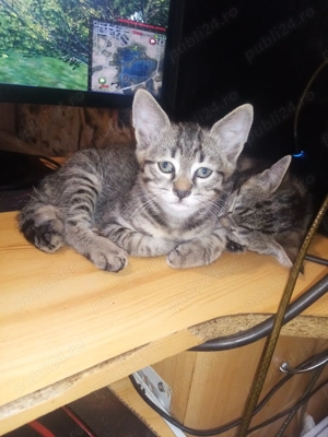 Aventura incepe cu un camin...! - imagine 4