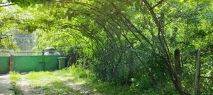 Vanzare casa - imagine 2