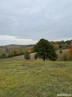 Teren intravilan cu utilitati!