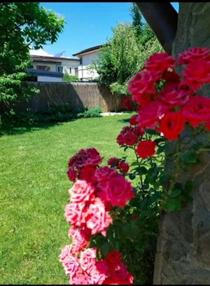 Vilă duplex de vânzare în Corbeanca - imagine 2