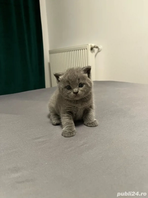 De vanzare  - imagine 2