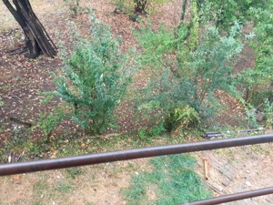 Casa spatioasa 500mp construit  - imagine 9