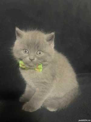 pentru iubitorii de animale - imagine 3