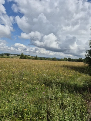 Vând teren ideal pentru cabana la munte - imagine 6