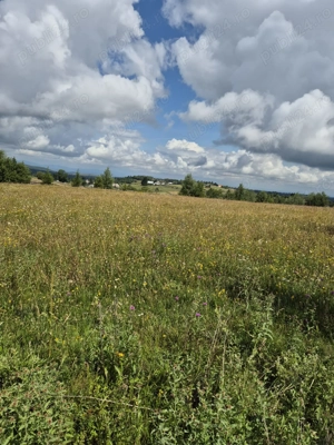 Vând teren ideal pentru cabana la munte - imagine 8