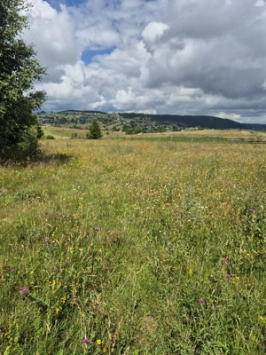 Vând teren ideal pentru cabana la munte - imagine 7