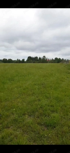 Vând teren ideal pentru cabana la munte - imagine 9