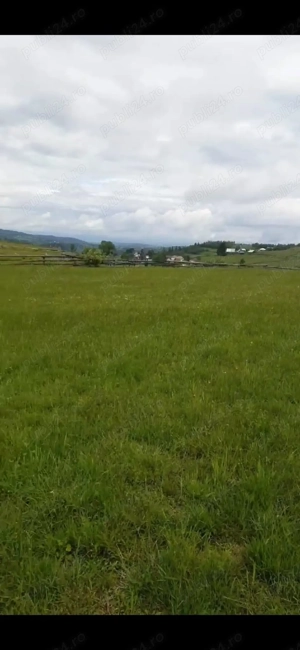 Vând teren ideal pentru cabana la munte - imagine 10