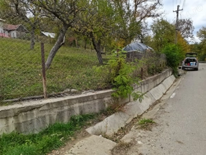 Teren de vânzare în Provița de sus - imagine 2
