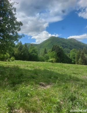 Teren Pârâul Rece  - imagine 3