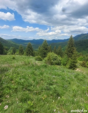 Teren Pârâul Rece  - imagine 2