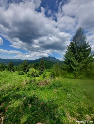 Teren Pârâul Rece  - imagine 5