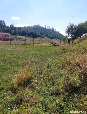 Teren Liziera Pădurii Cristian 