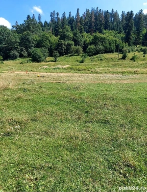 Teren Liziera Pădurii Cristian  - imagine 3