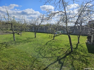 2 case finisate impecabil + 2.300 mp teren, panouri solare 6.5 kW, Jebel   aproape de Timișoara - imagine 4