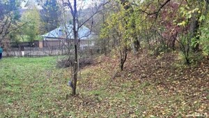 Teren intravilan Provita de Jos - imagine 3