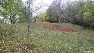 Teren intravilan Provita de Jos - imagine 4