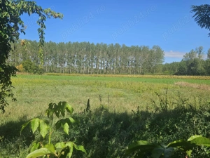 Casă  de vânzare în Ungaria,la 23 km de Oradea - imagine 3