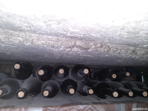 vin rosu de casa,imbuteliat la sticla de.750 ml,sec,bio,Hibrid de Gherla,din anul 2023