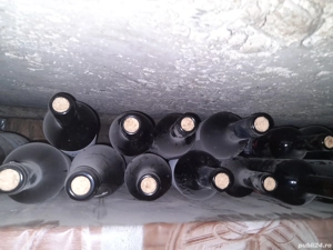 vin rosu de casa,imbuteliat la sticla de.750 ml,sec,bio,Hibrid de Gherla,din anul 2023 - imagine 2