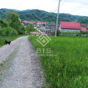 Teren 37.5 ari intravilan - imagine 2