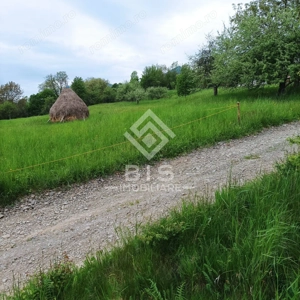 Teren 37.5 ari intravilan - imagine 3