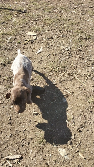 De vanzare - imagine 4 De vanzare - imagine 4