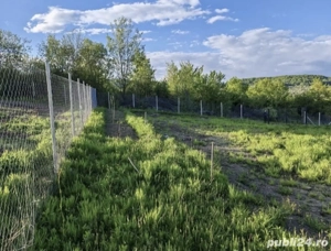 Teren 10 arii extravilan - imagine 2