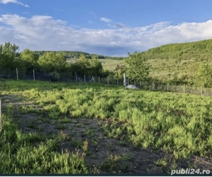 Teren 10 arii extravilan - imagine 3