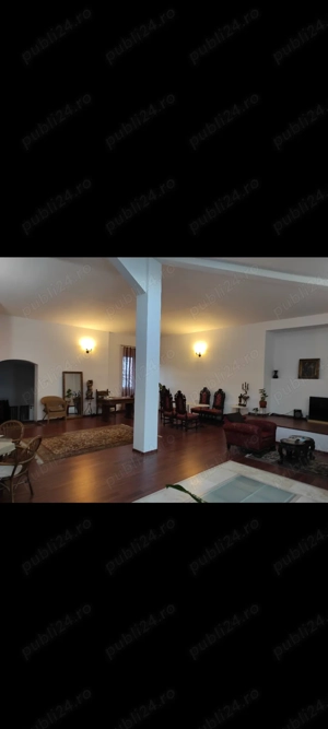 Cișmigiu, Vila interbelica eleganta D+P+1, curte - imagine 7