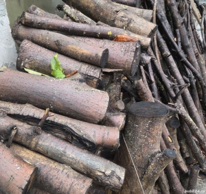 Lemne de foc sau prelucrat