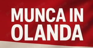 Operator Logistica - Orderpicker Olanda