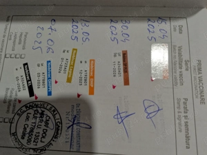 VanzareCatelRasaPudelVarsta9LuniPret5000Lei