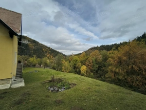 TEREN BRAN - OPORTUNITATE INVESTITIE - imagine 13